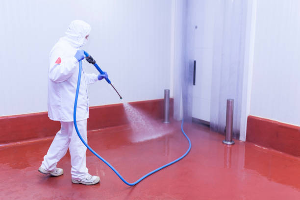 Best Sidewalk and Walkway Cleaning  in East Los Angeles, CA
